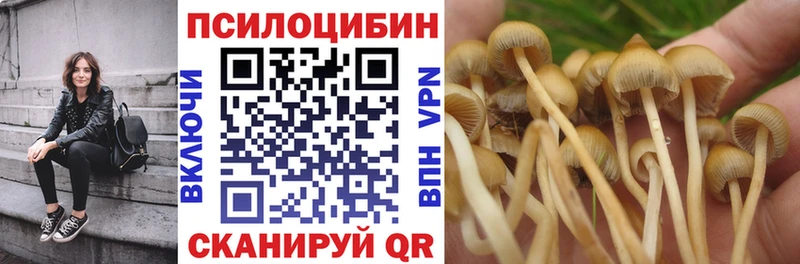Галлюциногенные грибы MAGIC MUSHROOMS  как найти   Белгород 